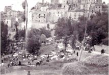 The livestock market (fair).jpg